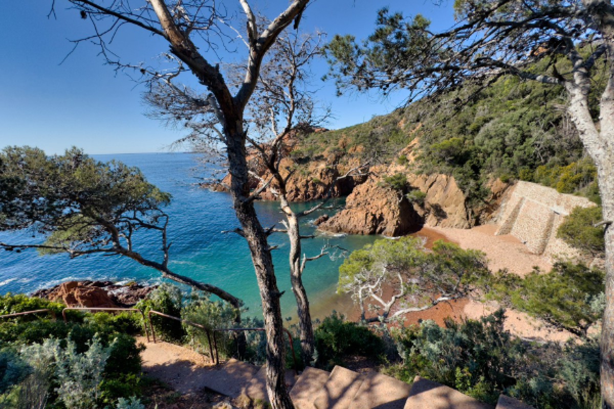 Scuba diving Calanque Saint-Barth (BEST-SELLER 2025) - Expérience Côte d'Azur