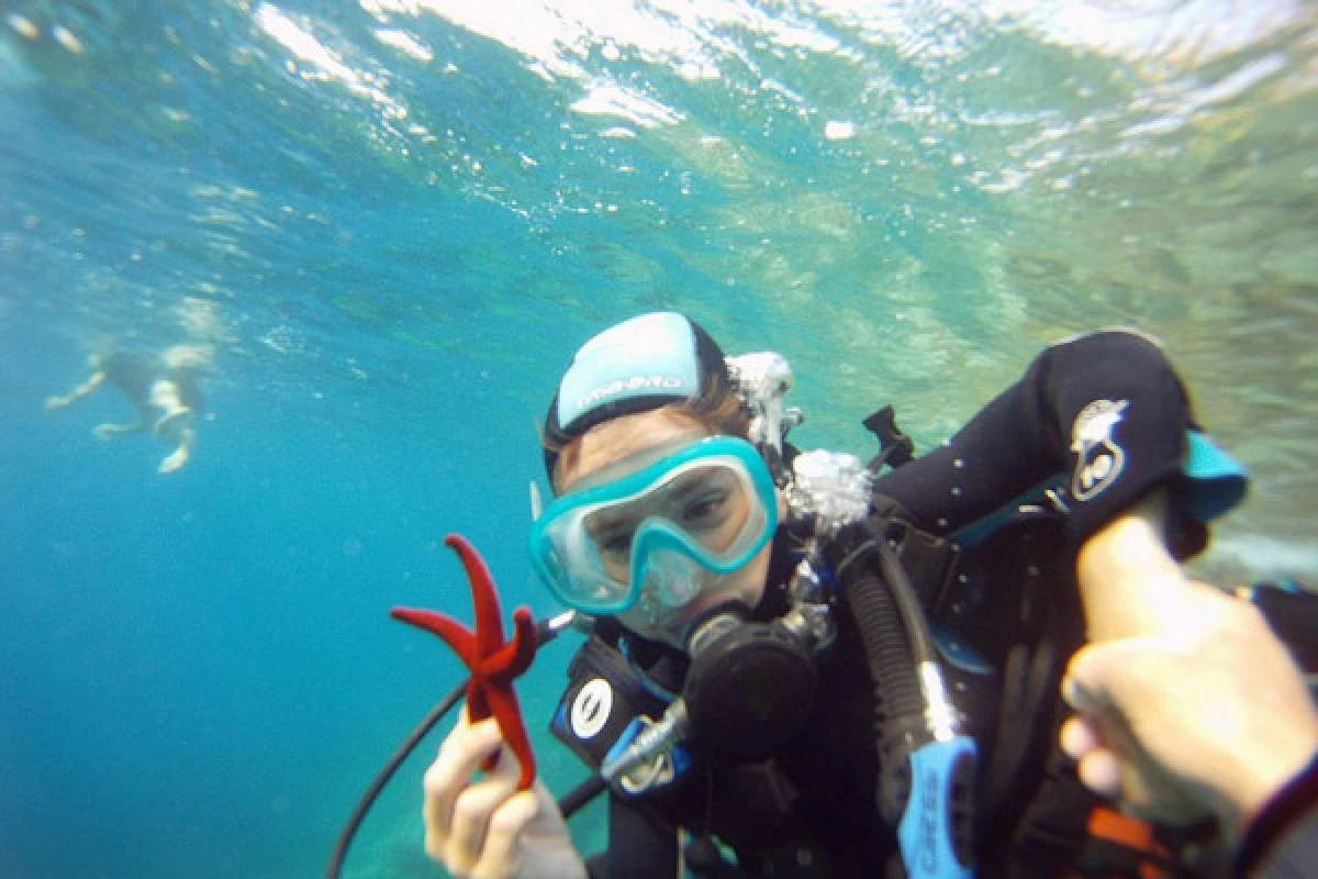 First Scuba Diving - Fréjus - Expérience Côte d'Azur