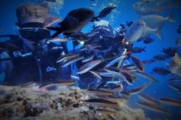 First Scuba diving - Les Issambres - Expérience Côte d'Azur