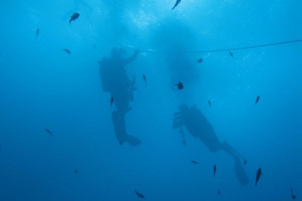 Scuba Diving for Beginners - Europlongée - Expérience Côte d'Azur