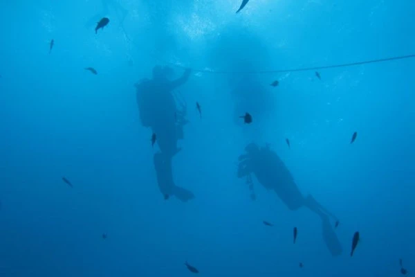 Scuba Diving for Beginners - Europlongée - Expérience Côte d'Azur