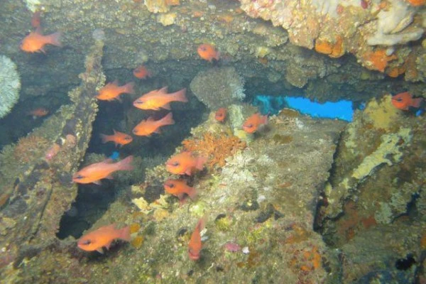 Scuba Diving for Beginners - Europlongée - Expérience Côte d'Azur