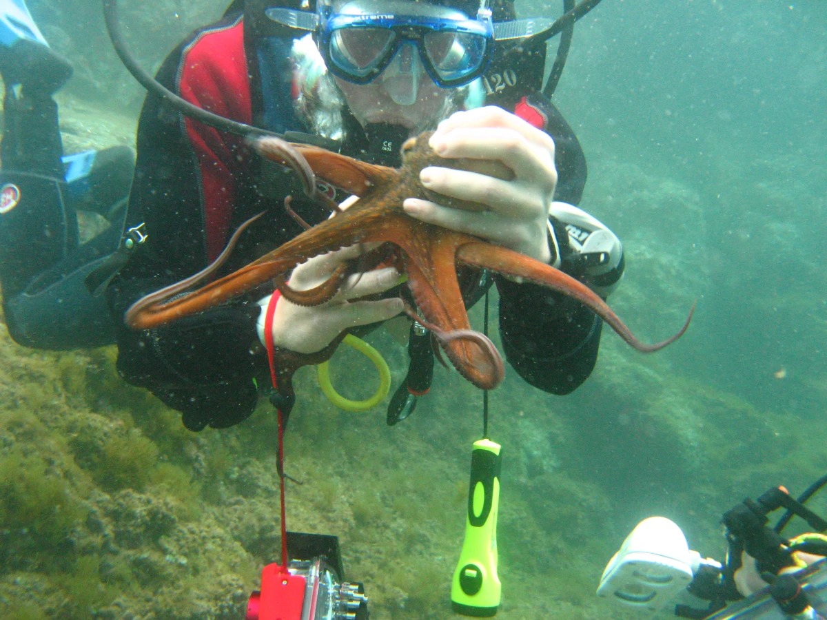 Diving baptism - Saint Raphaël - Expérience Côte d'Azur
