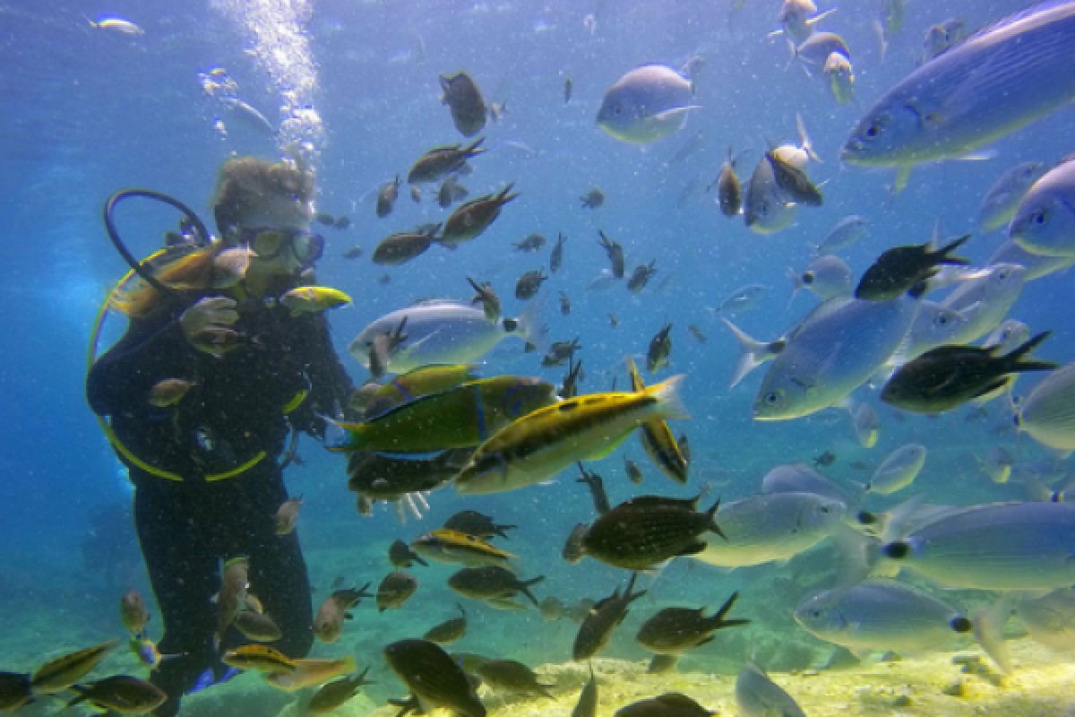Day dive baptism (Tiki Plage) - Expérience Côte d'Azur