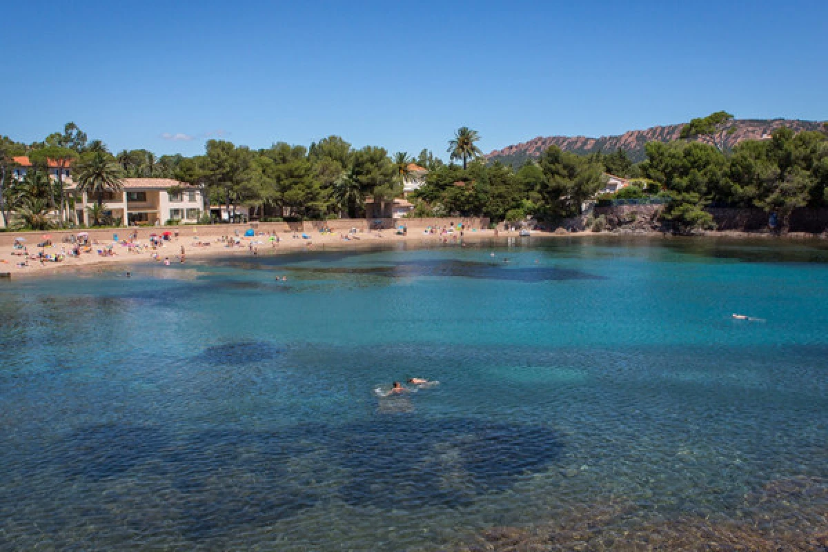 Day dive baptism (Tiki Plage) - Expérience Côte d'Azur