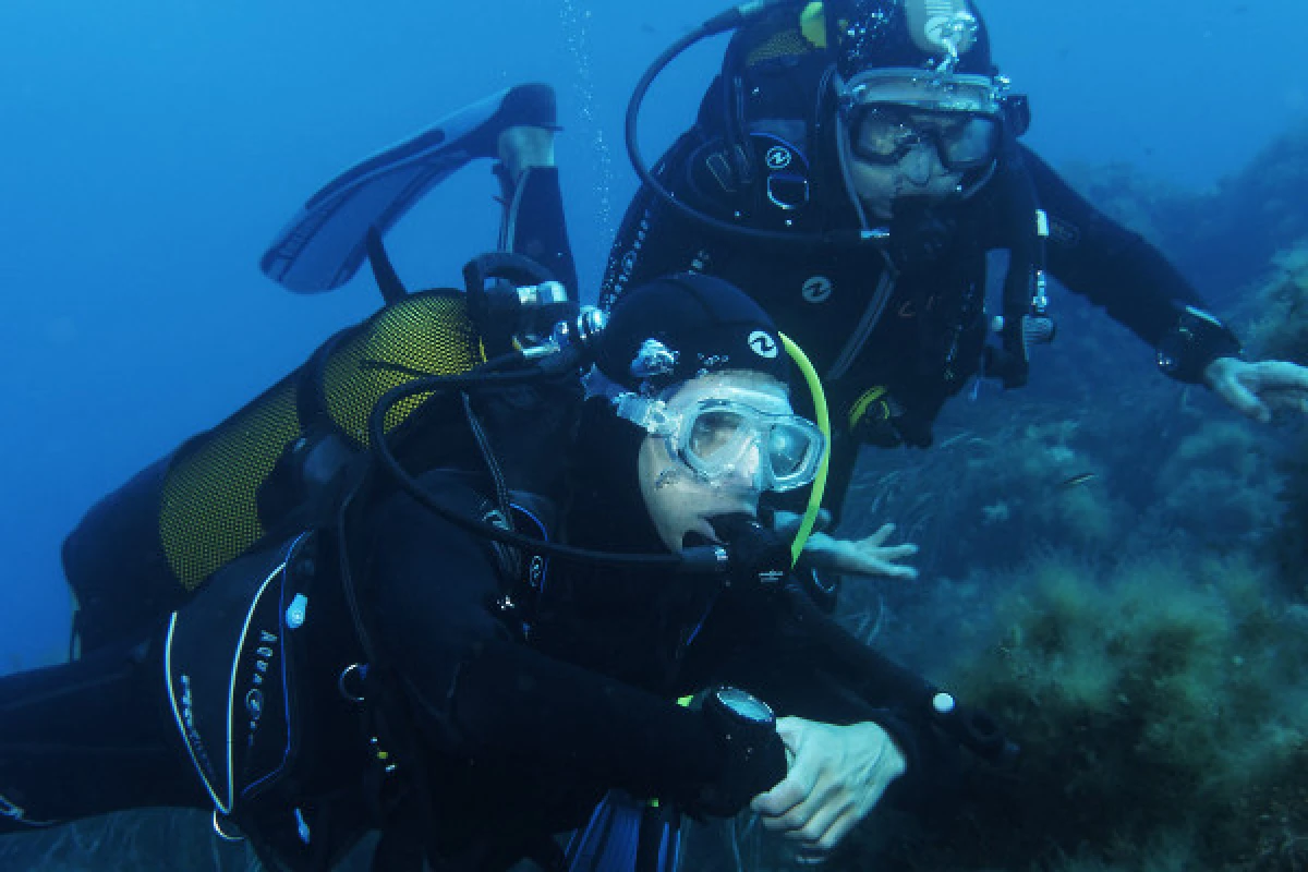 First dive - Port Fréjus - Expérience Côte d'Azur