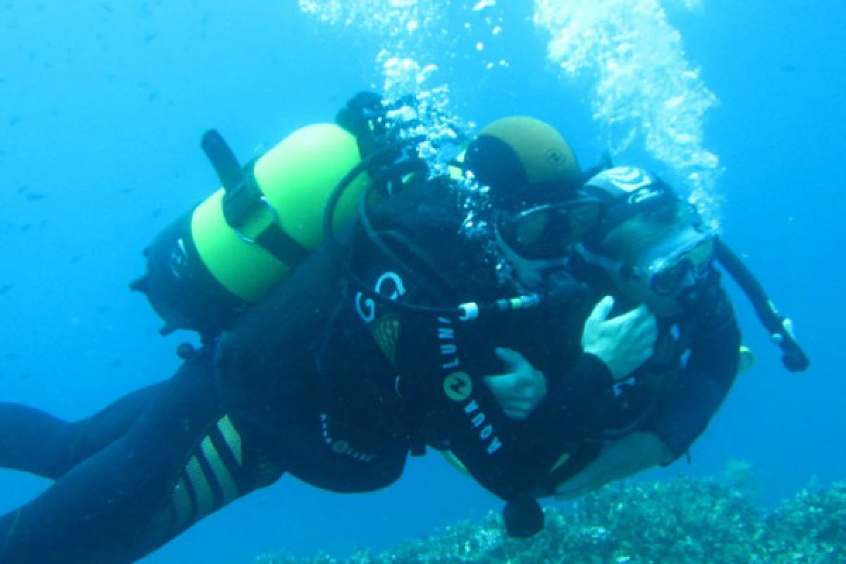 First dive - Port Fréjus - Expérience Côte d'Azur