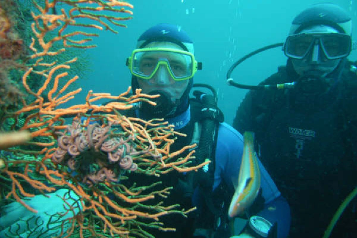 First dive - Port Fréjus - Expérience Côte d'Azur