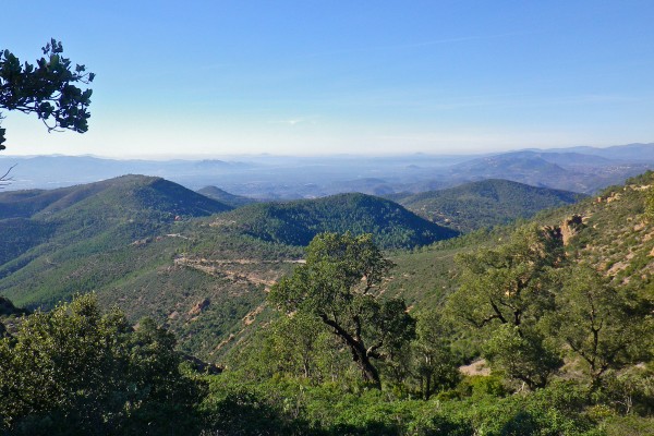 National Forestry Organization map - Esterel State Forest - Expérience Côte d'Azur