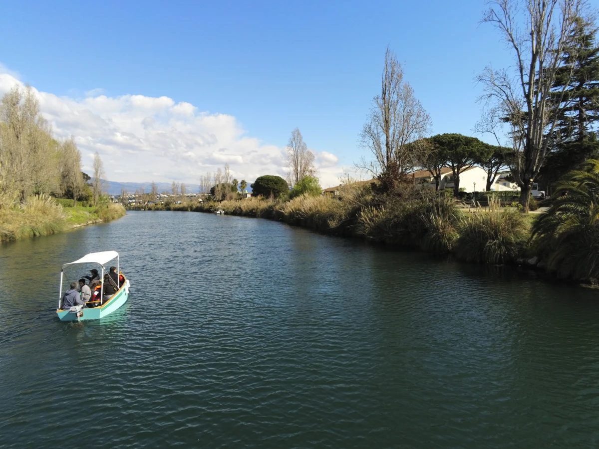 Monster Hunt in Electric Boat without License - Expérience Côte d'Azur