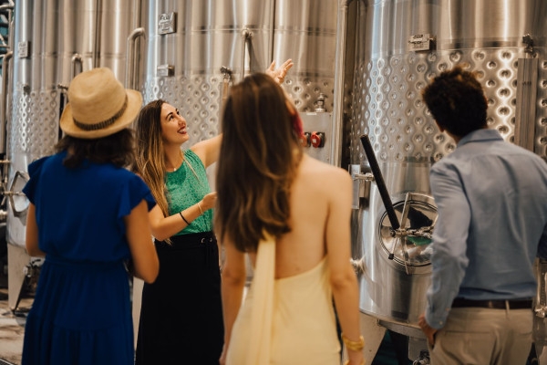 Wine tour with a mini van, 1/2 day, Gulf of Saint-Tropez - Expérience Côte d'Azur