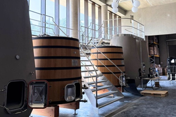 Private half-day wine tour, Gulf of Saint-Tropez - Expérience Côte d'Azur