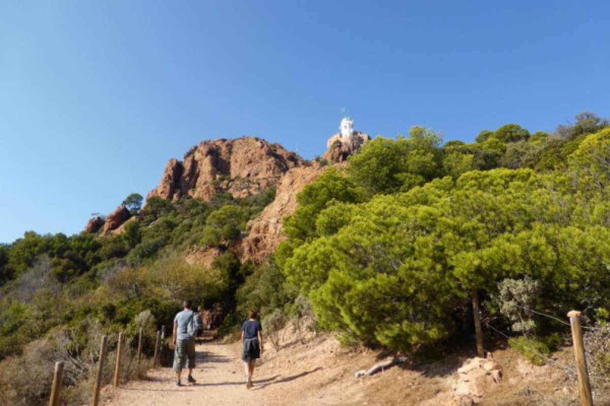 Disappearance on the Isle of Gold: your giant Cluedo®. - Expérience Côte d'Azur