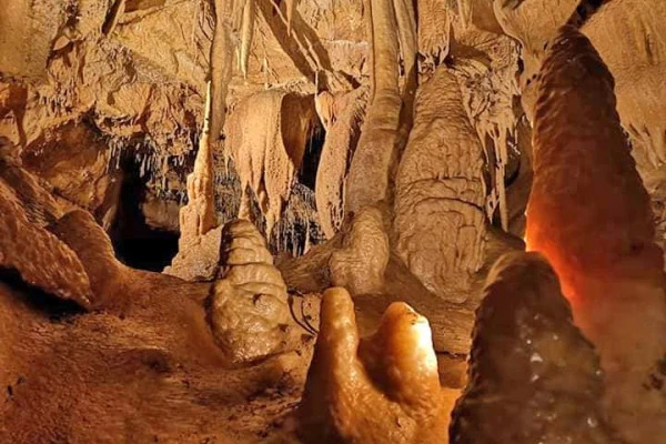 Visit and treasure hunts in the cave and in the forest - Expérience Côte d'Azur