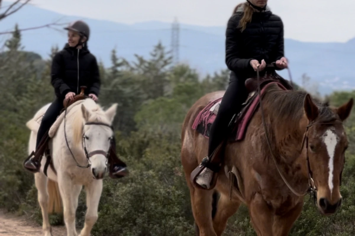 Sunset on Horseback - Estérel Massif - Expérience Côte d'Azur