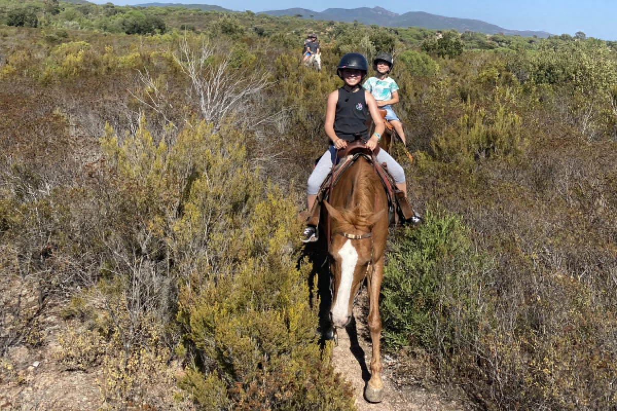 Sunset on Horseback - Estérel Massif - Expérience Côte d'Azur