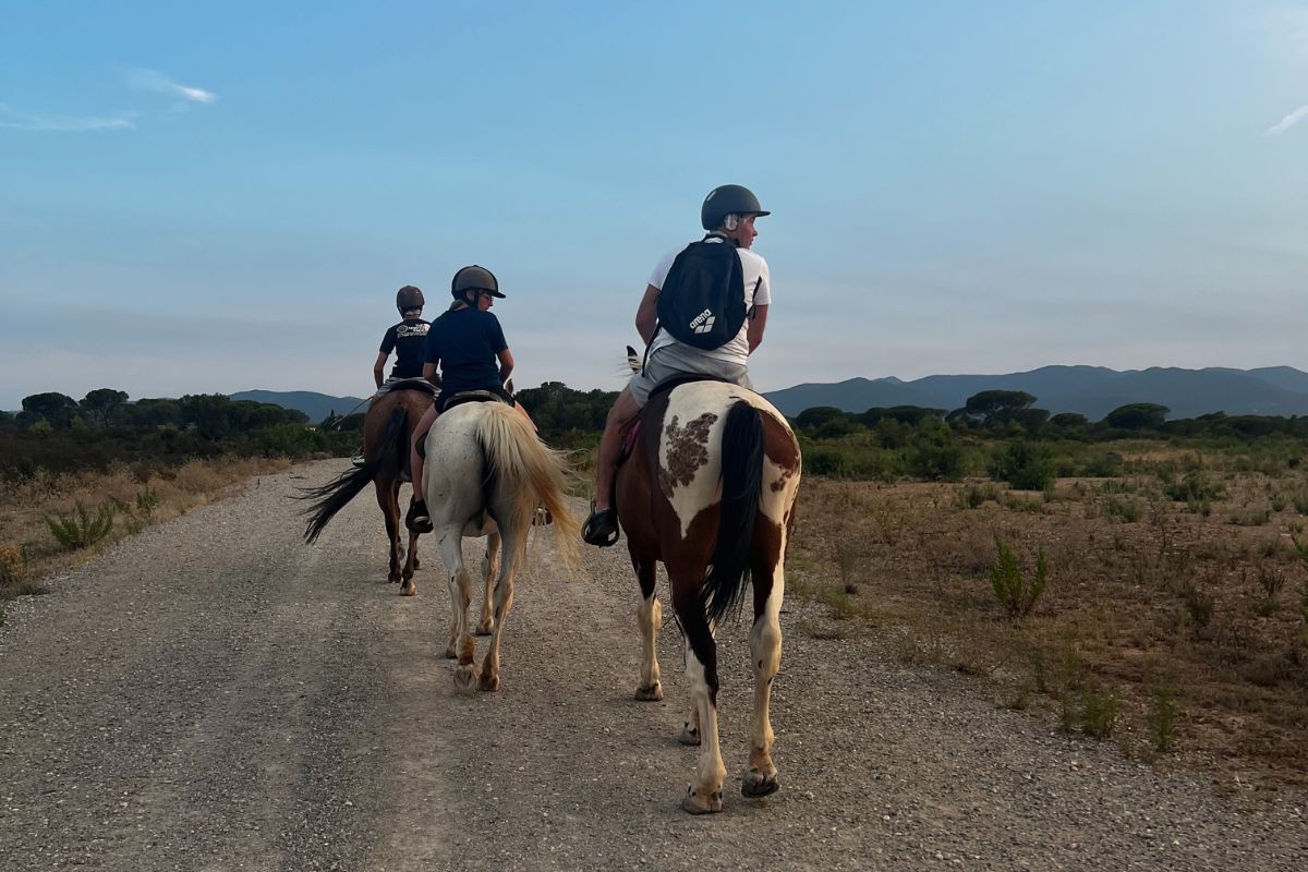 Sunset on horseback at the foot of the Massif de l'Estérel - Expérience Côte d'Azur