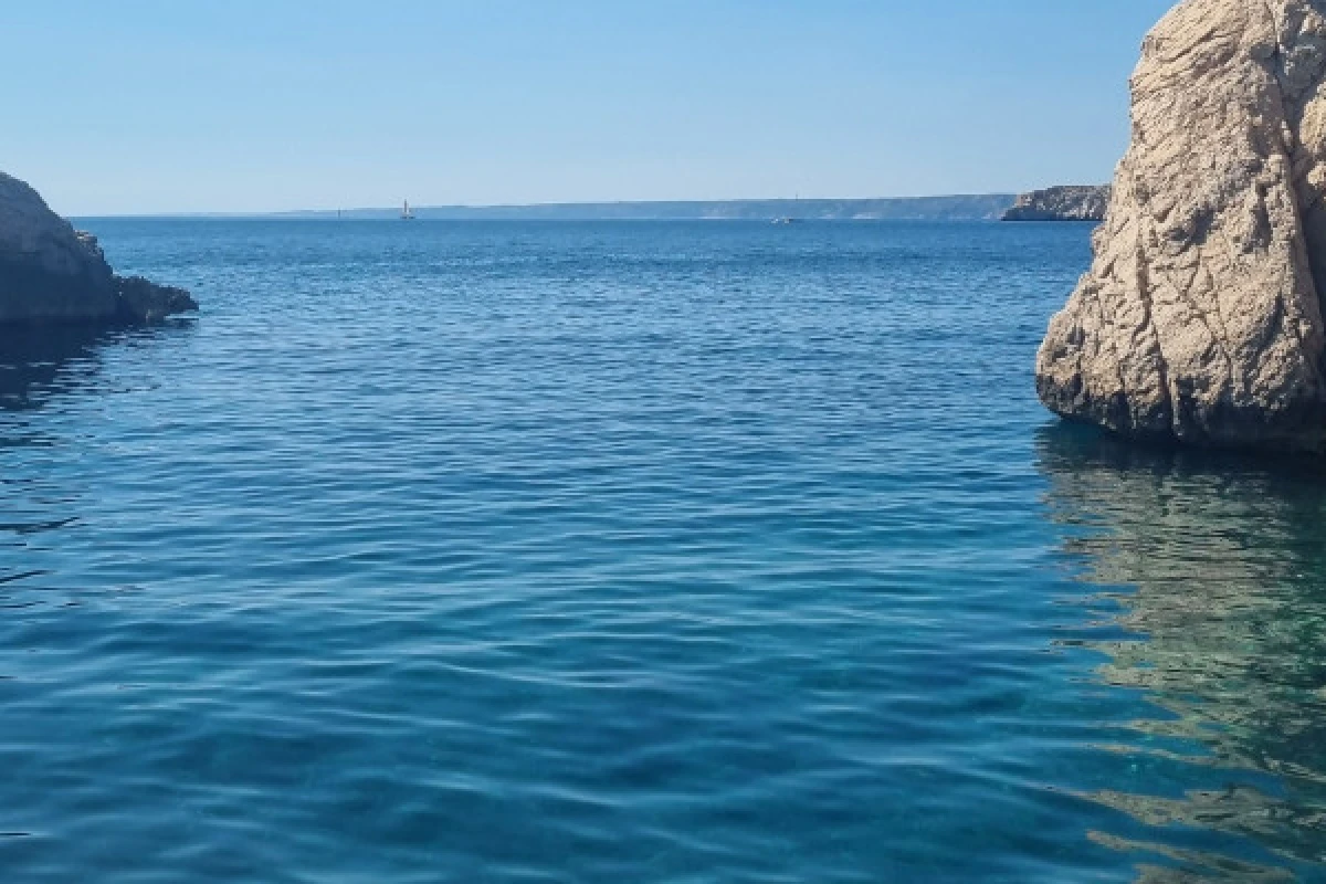 Half-day cruise and swimming in the Calanques National Park - Mucem - Expérience Côte d'Azur