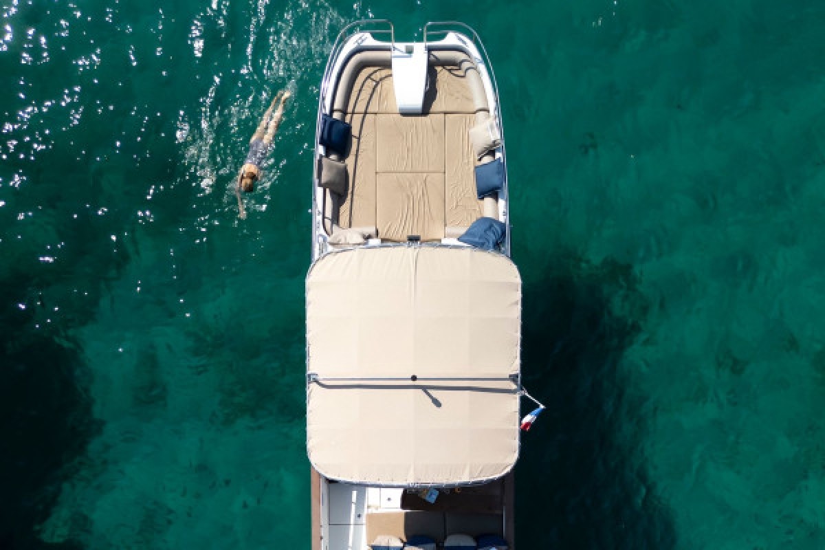 Half-day cruise and swimming in the Calanques National Park - Mucem - Expérience Côte d'Azur