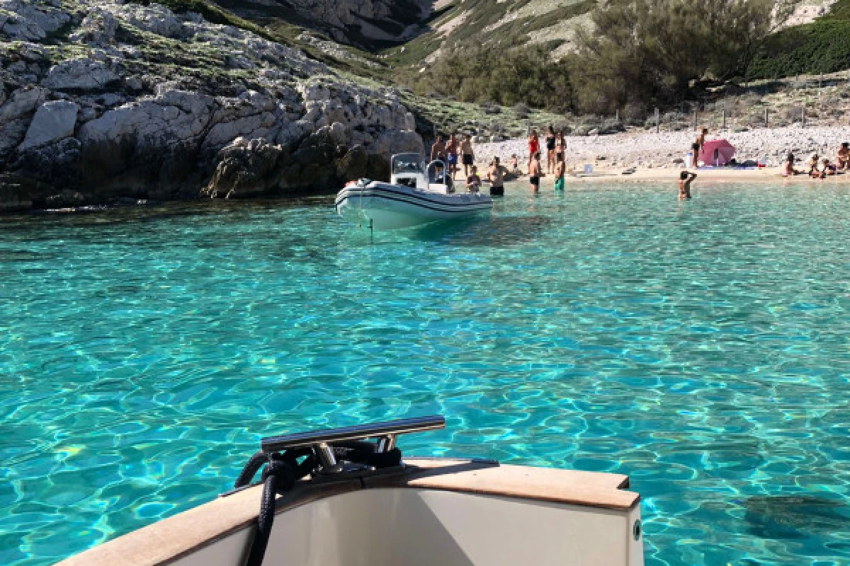 Half-day cruise and swimming in the Calanques National Park  -Quay of honnor Town Hall - Expérience Côte d'Azur