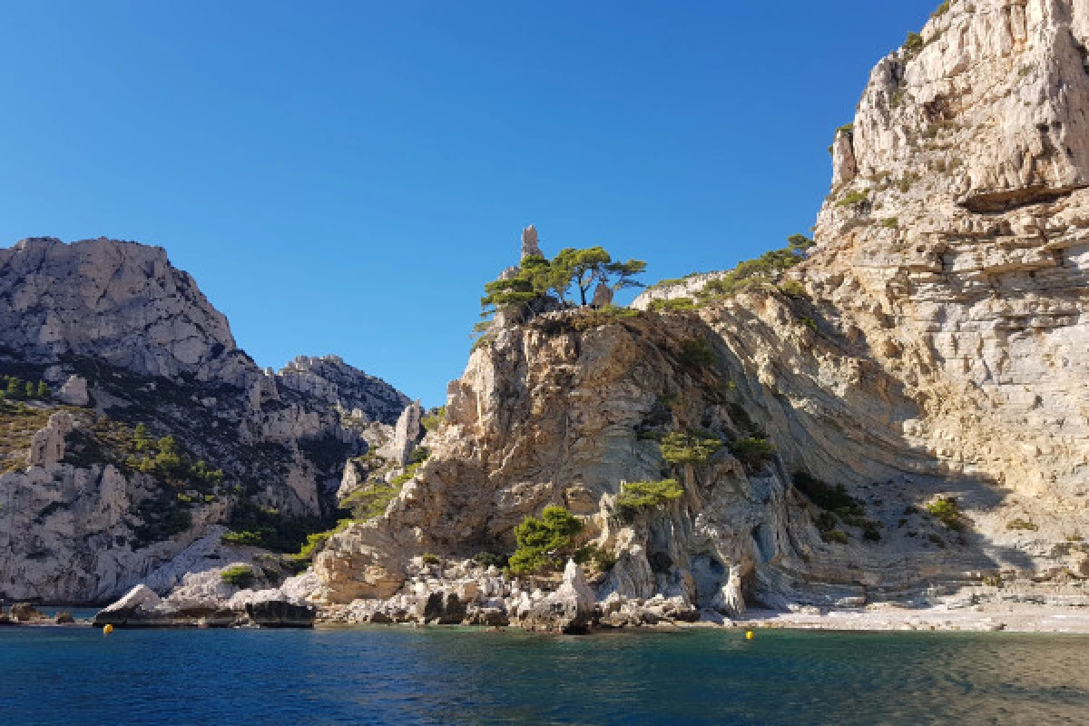 Excursion day trip  to the Calanques - Quay of honnor Town Hall - Expérience Côte d'Azur