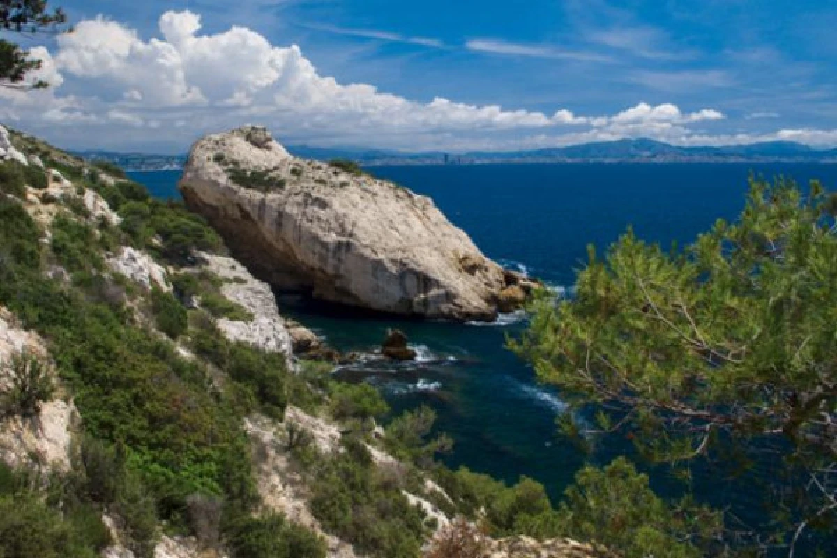 Afternoon cruise : The secret Calanques of Marin park of the Blue Coast - Expérience Côte d'Azur