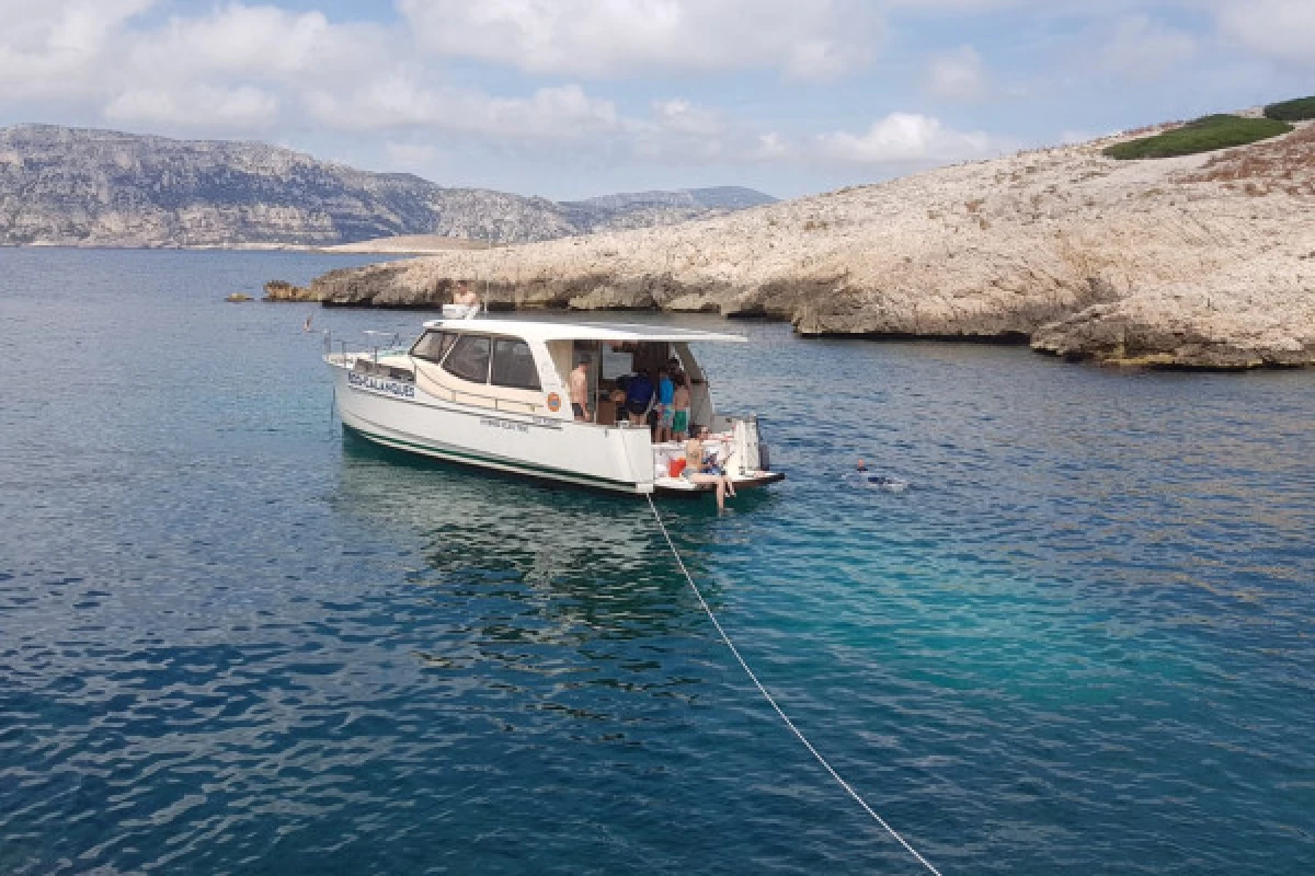 Cruise in the Calanques of Frioul with coffee and swimming - CITY HALL - Expérience Côte d'Azur