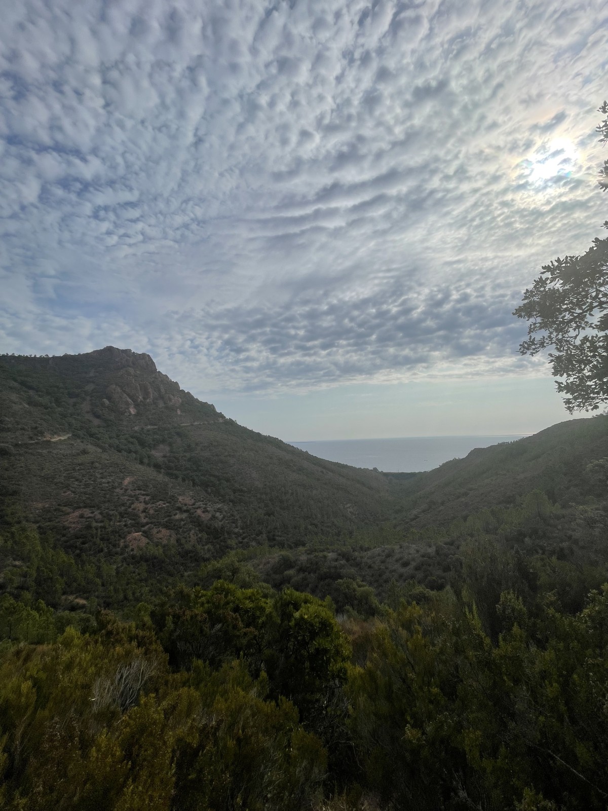  - Expérience Côte d'Azur