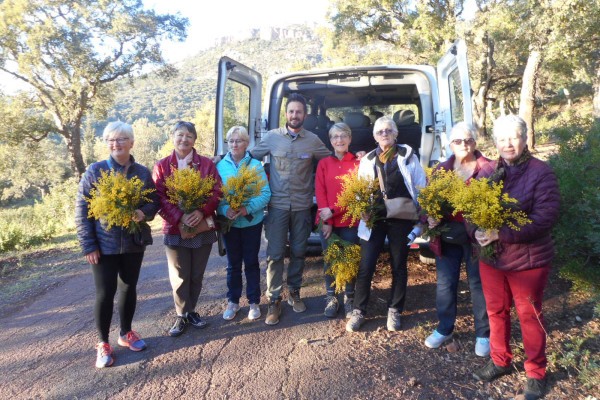 Balade en groupe dans l'Estérel en Van