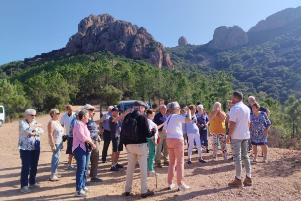 Discovery of the Estérel with a forest guide - Expérience Côte d'Azur