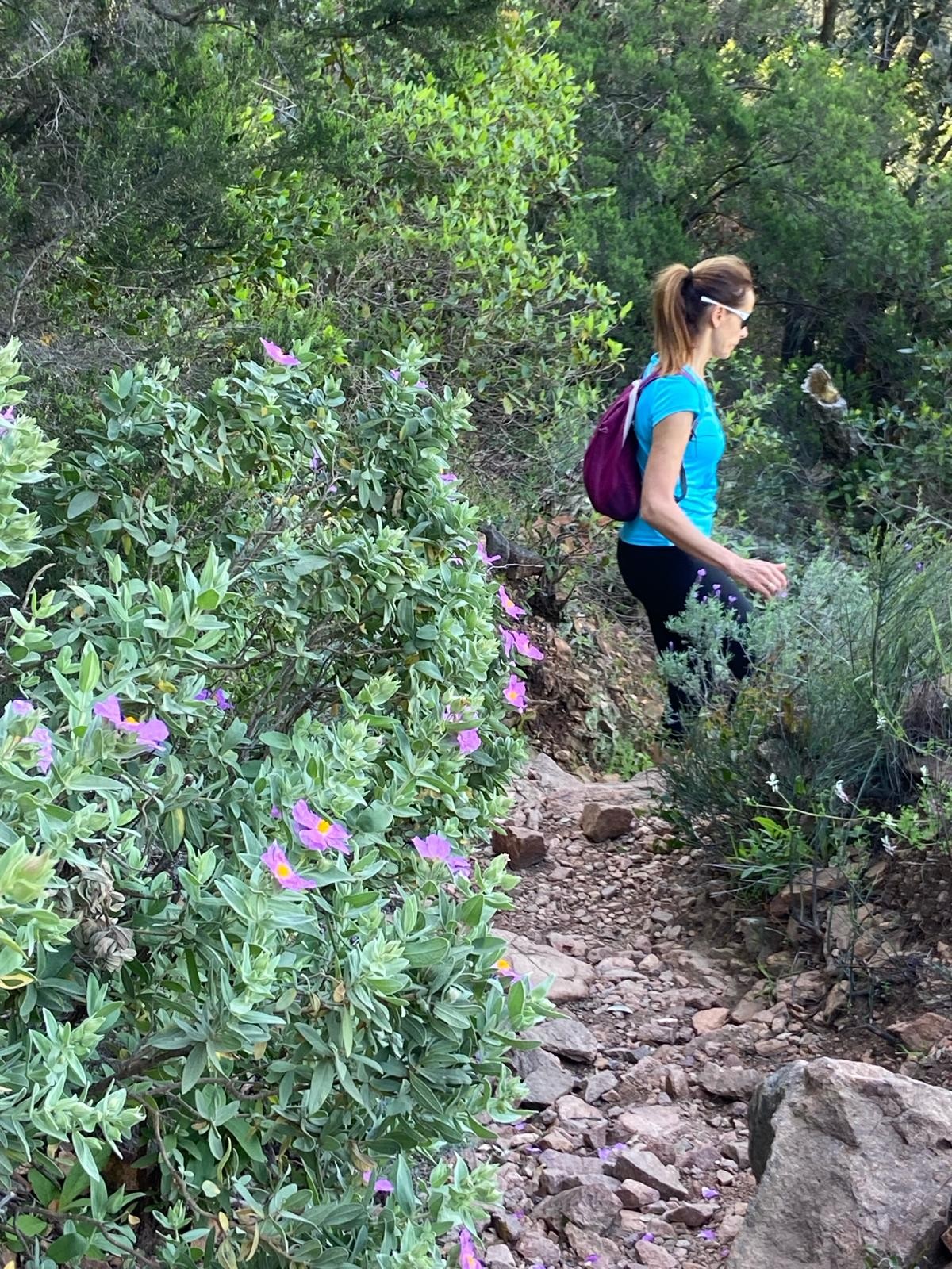 Discovery of Mediterranean Flora - Expérience Côte d'Azur