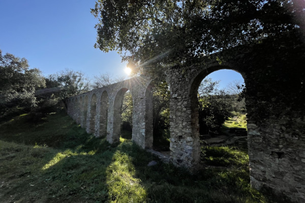Discovering Mediterranean flora - Expérience Côte d'Azur