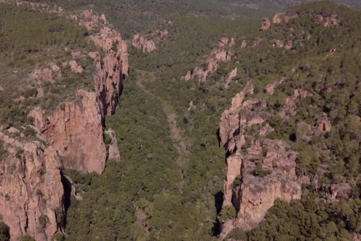 Discovery of the Blavet Gorges - Expérience Côte d'Azur