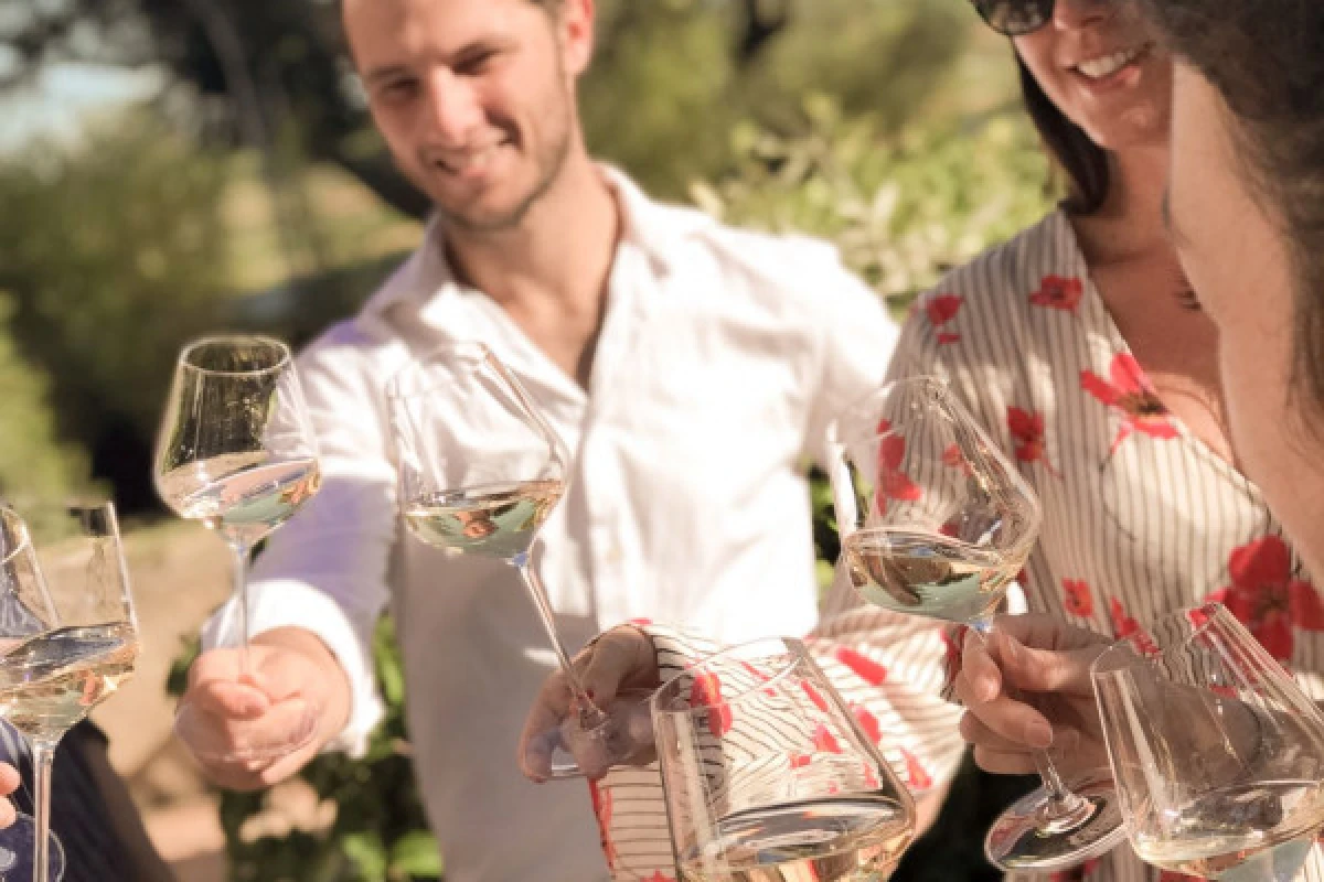 French Wine and Cheeses Tasting - Expérience Côte d'Azur