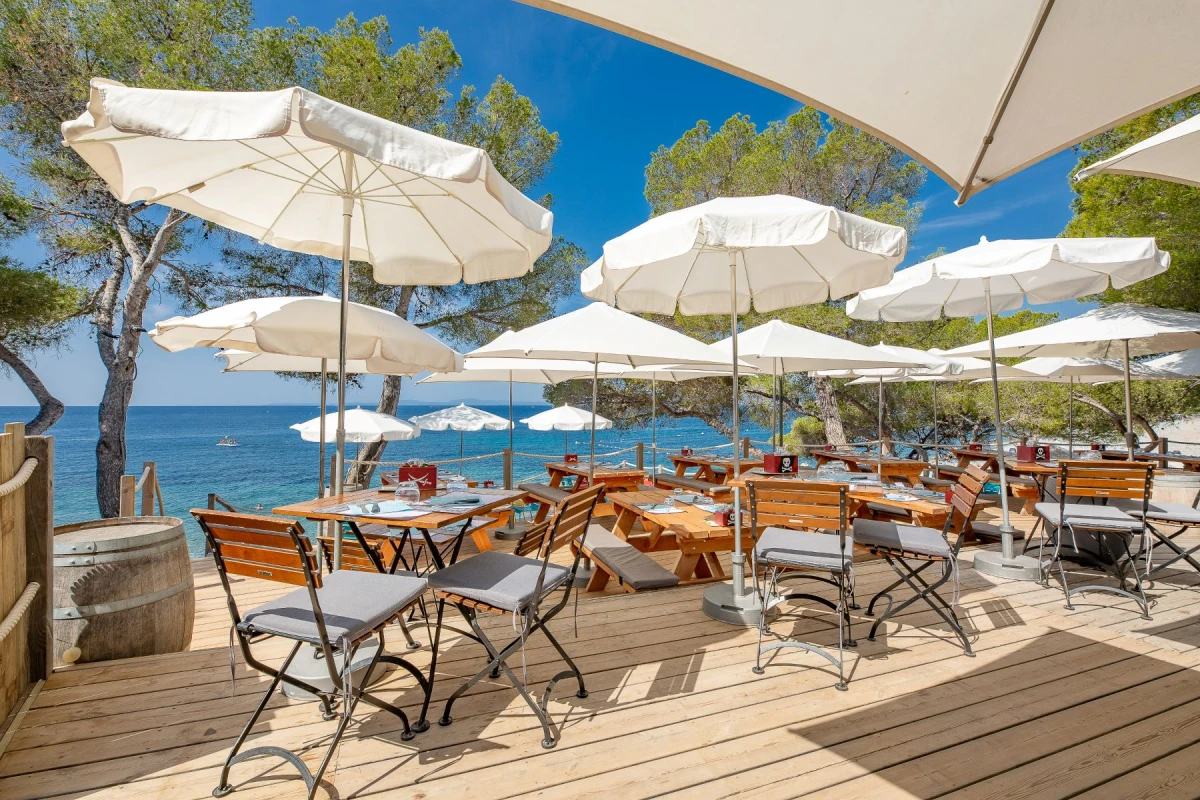 Lunch and relaxation on the beach in front of the Ile d'Or - Special CE - Expérience Côte d'Azur