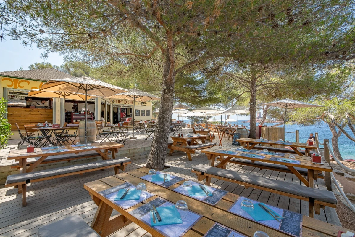 Lunch and relaxation on the beach in front of the Ile d'Or - Special CE - Expérience Côte d'Azur