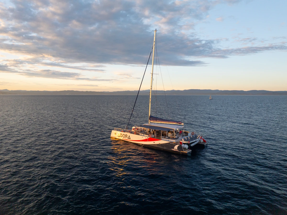 Departure St Raphaël - Evening Dinner - Cap Dramont & Ile d'Or - Expérience Côte d'Azur