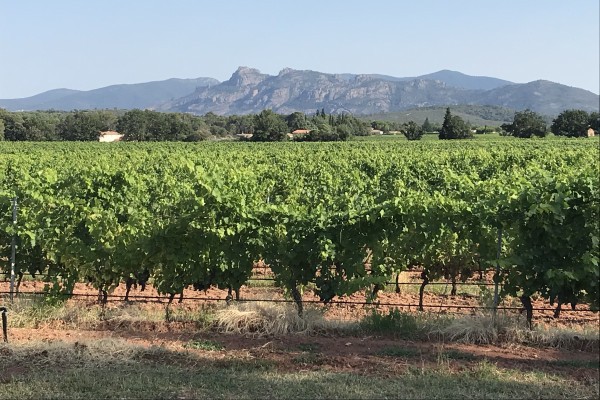 Electric assisted mountain bike ride - Expérience Côte d'Azur