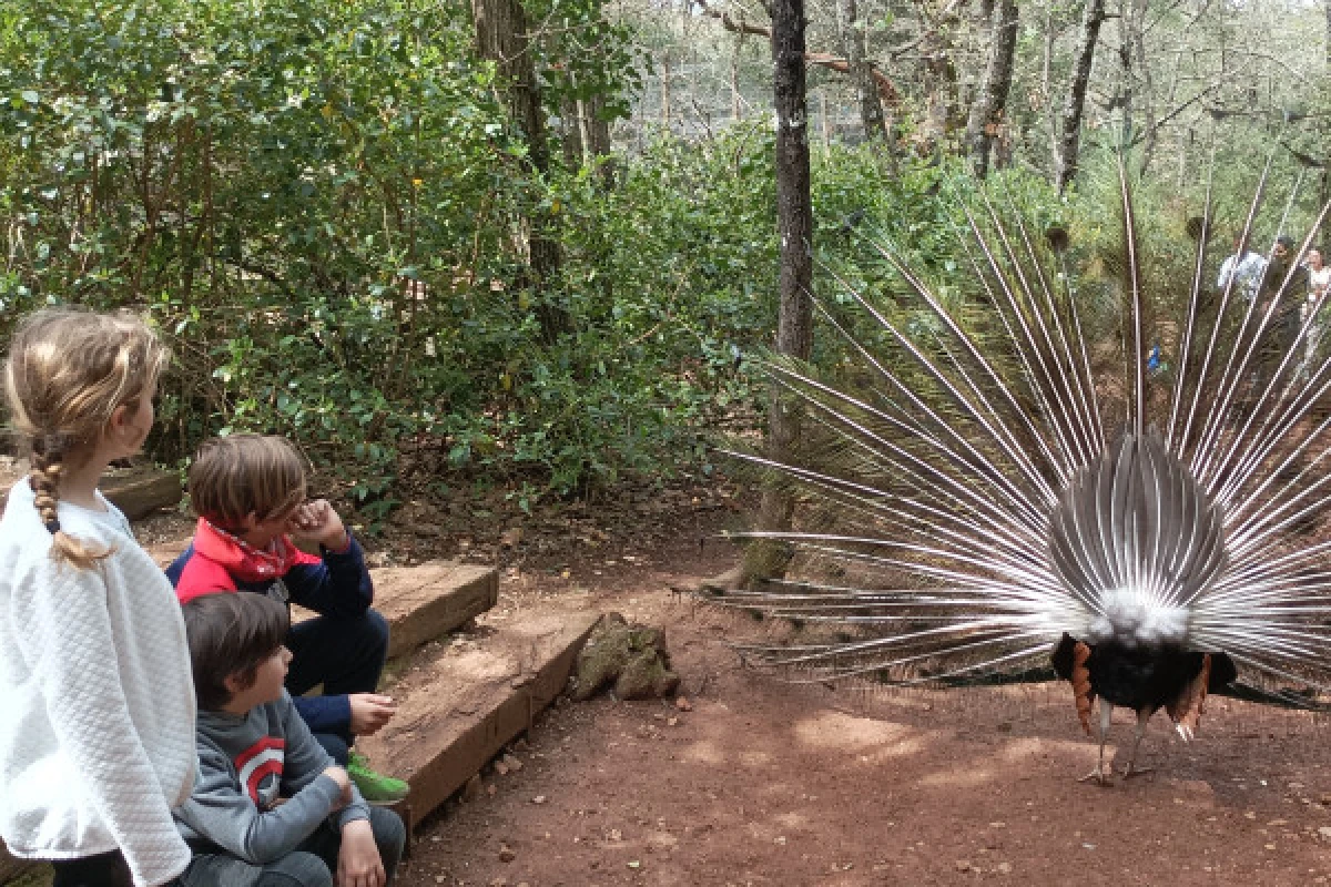 Aoubré Promo access - Aoubré natural parc - Var's heart - Expérience Côte d'Azur