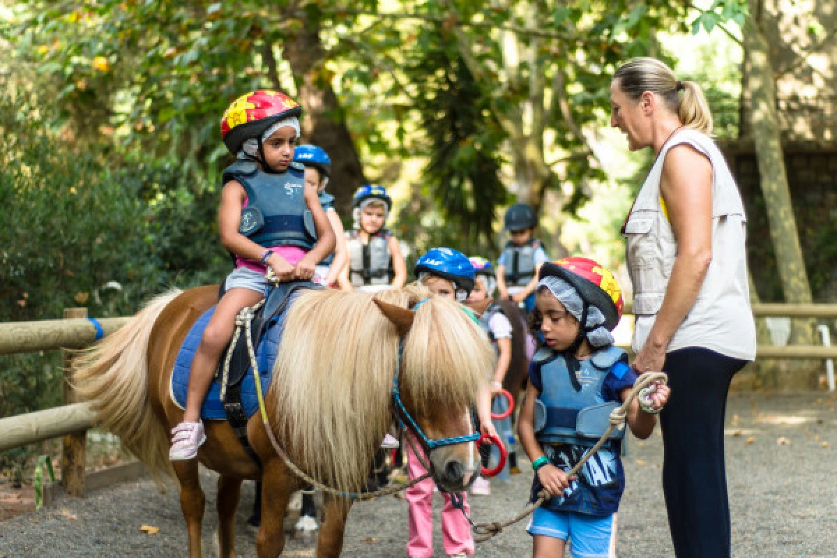 Horse riding: The baby riders - Expérience Côte d'Azur
