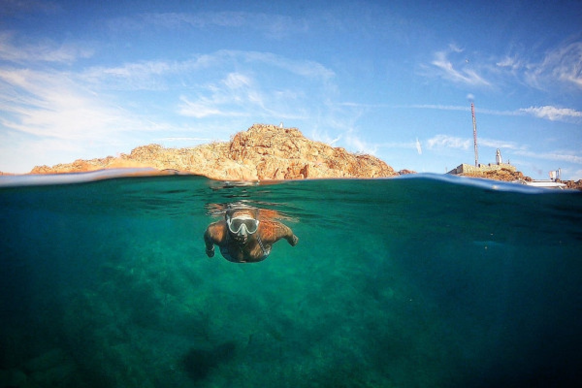 Esterel Evasion - private excursions - Expérience Côte d'Azur