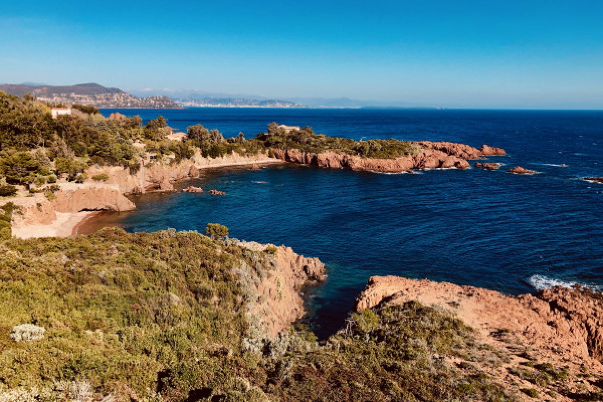 Full-day boat charter - sea and snorkeling trips - Esterel and Cap Roux - Expérience Côte d'Azur