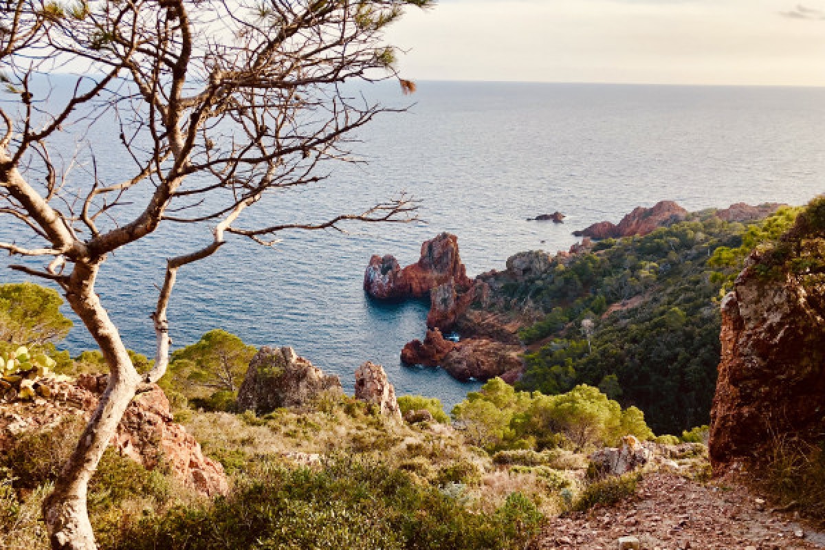 Esterel Evasion - private excursions - Expérience Côte d'Azur
