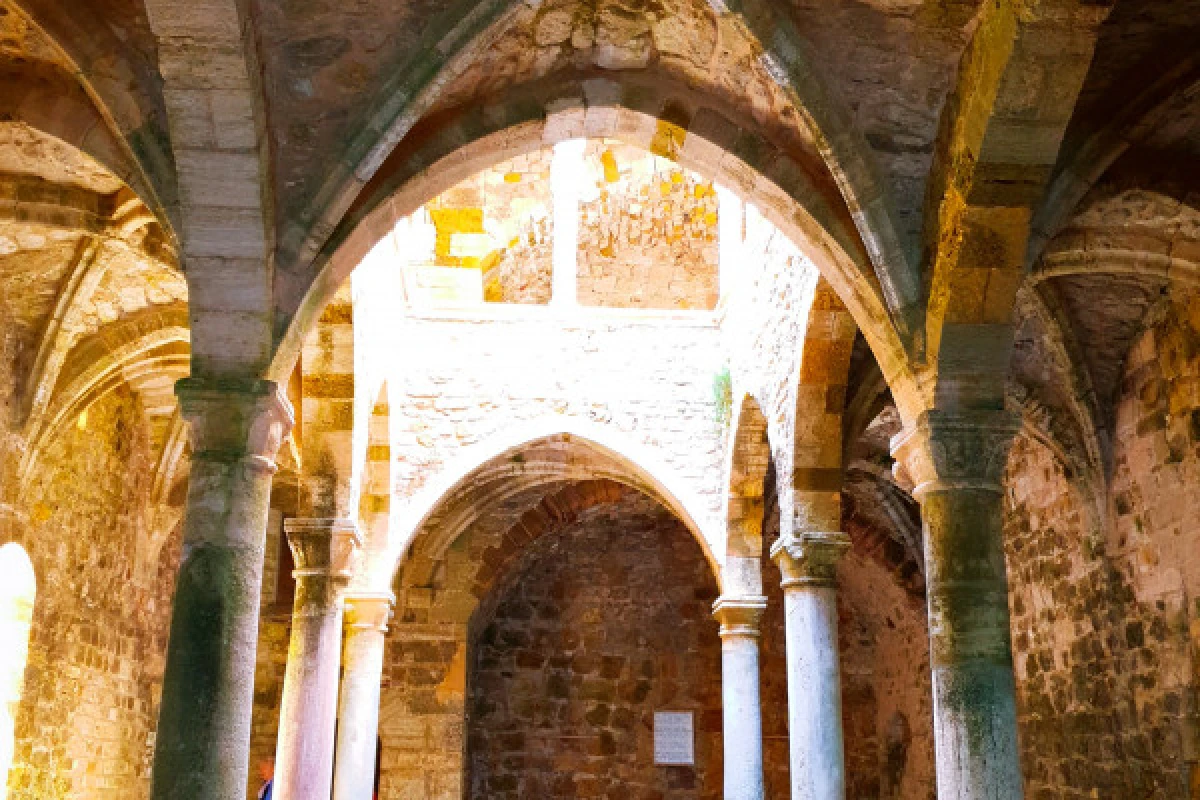 Sea excursion 4h - Lérins Island (Saint-Honorat) - Expérience Côte d'Azur