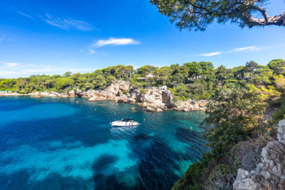 Sailing trip Cannes - Antibes 3H30 - Expérience Côte d'Azur