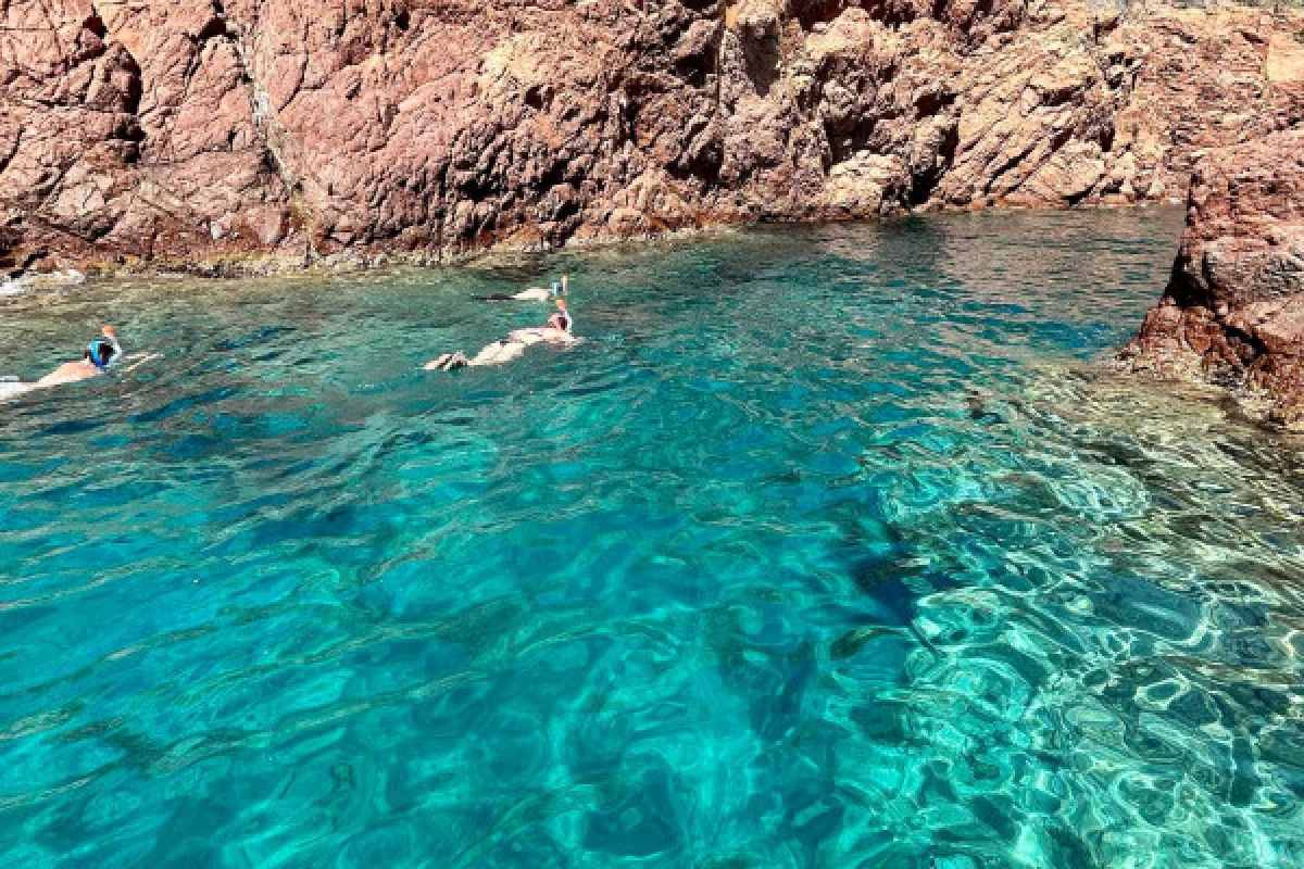 COMBO : CALANQUES TOUR + CLUEDO - Expérience Côte d'Azur