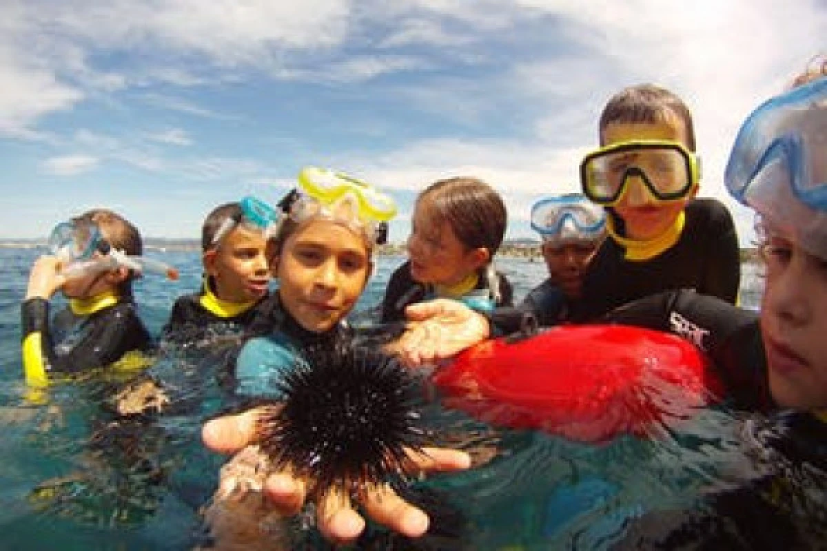 Kids Scuba Diving Training - Expérience Côte d'Azur