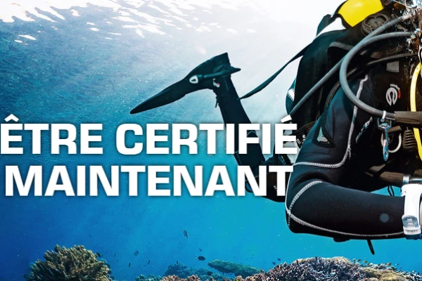 Beginner diving training Level 1 - Expérience Côte d'Azur