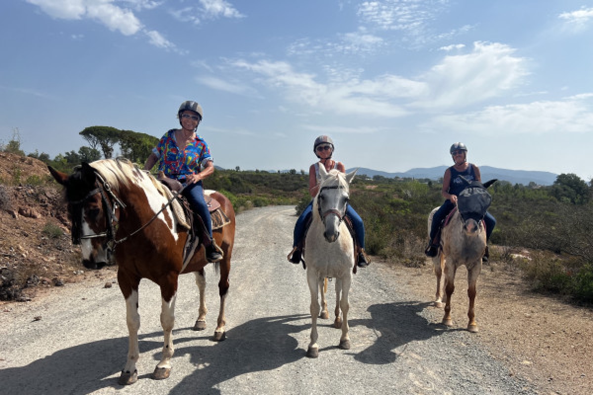 Hill Trail – A 1 hour 45-minute Horseback Ride in the Estérel Massif - Expérience Côte d'Azur Hill Trail – A 1 hour 45-minute Horseback Ride in the Estérel Massif - Expérience Côte d'Azur