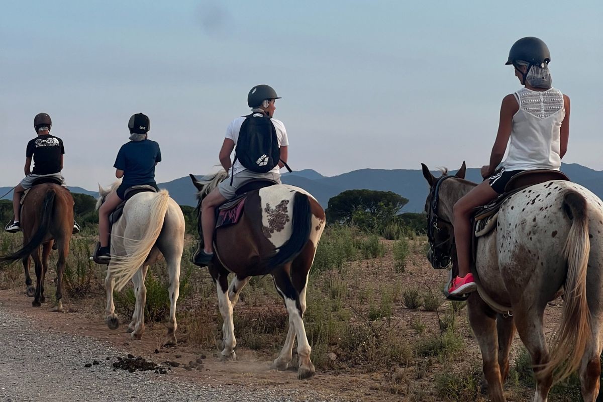 Hill trail - 1hr 45min horseback ride in the Esterel massif - Expérience Côte d'Azur